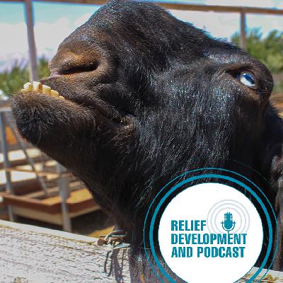 Goatcast: The mystery of the Damascus "goat monster"