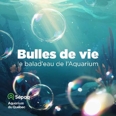 Bande-annonce Bulles de vie Bande-annonce Bulles de vie