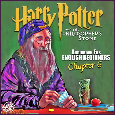 HP 6