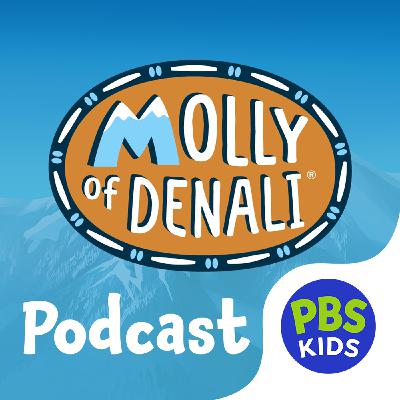 Introducing: Molly of Denali