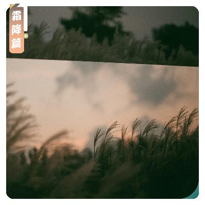 【霜降篇】人间晚秋，时光淬炼的温柔