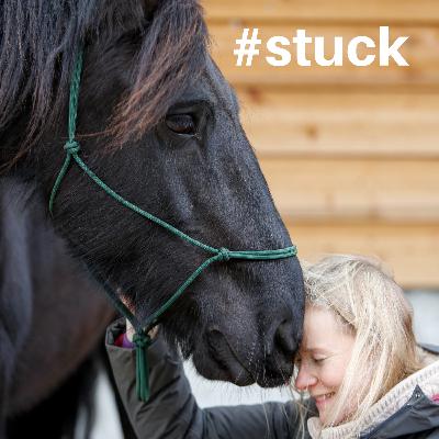 E11 | Full circle E11 | Full circle