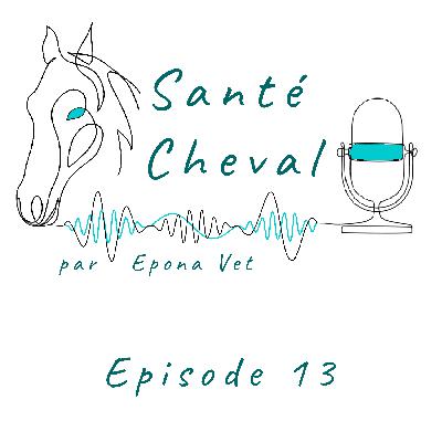 Ep. 13 – Piro-like, les tiques (part 5)