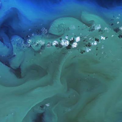 Algene som kveler fisken - Med Lars-Johan Naustvoll