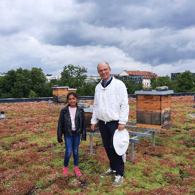 Bienen in der Stadt