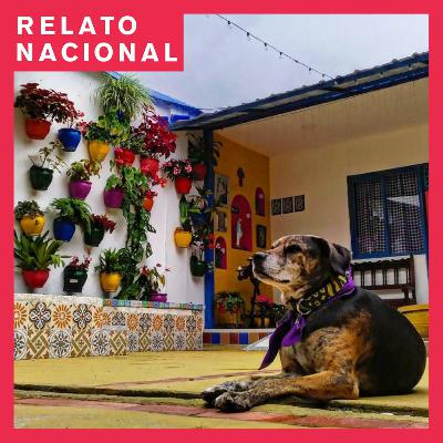 43. La Ranchita, un hogar inesperado