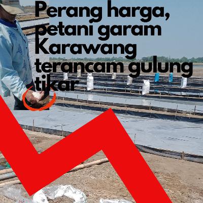 Perang harga, petani garam Karawang terancam "gulung tikar"