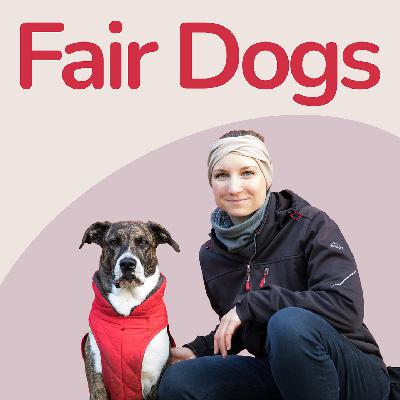 9. Sophia Betz über Training, Alltag und Entspannung mit Gebrauchshunden 9. Sophia Betz über Training, Alltag und Entspannung mit Gebrauchshunden