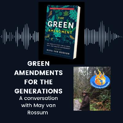 How Green Amendments Are Changing the Game for Environmental Rights