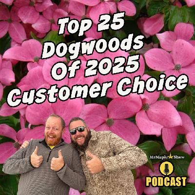 Top 25 Dogwoods Of 2025 | Customer Choice Awards | MrMaple Show Podcast
