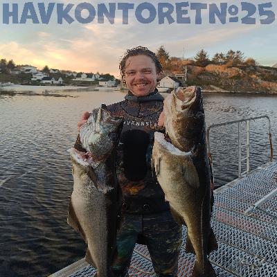 Havkontoret 25 - Erling Boge
