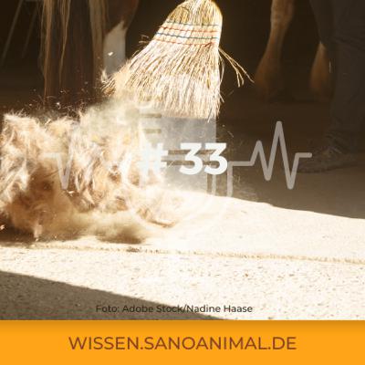 Sanoanimal Podcast #33 – Fellwechsel im Frühling
