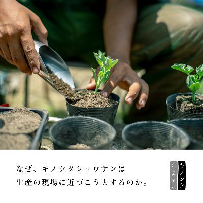 『なぜ、キノシタショウテンは生産の現場に近づこうとするのか』:木下尚之 『なぜ、キノシタショウテンは生産の現場に近づこうとするのか』:木下尚之