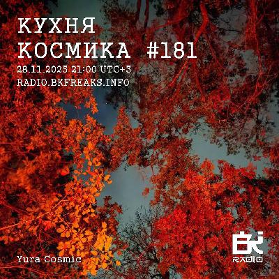 Dj Cosmic - Kukhnya Kosmika 181 mix 28.11.2025