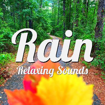 6 Hour Rain-no loop or fade