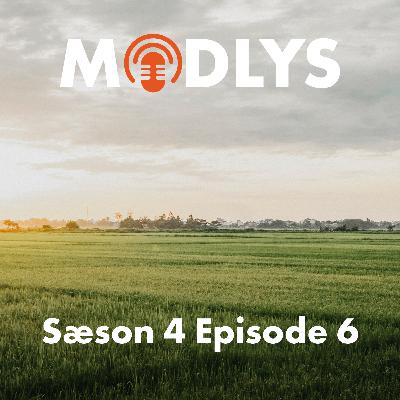 S4E6: Snydt i sodavands-shoppen