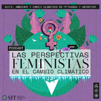 Las Perspectivas feministas en el cambio climático