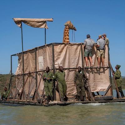 To Rescue an Animal, You've Got to Think Like One