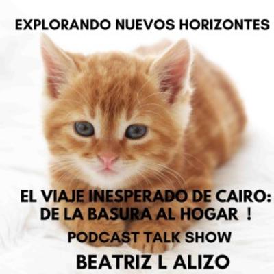 El viaje inesperado de Cairo: De la basura al hogar El viaje inesperado de Cairo: De la basura al hogar