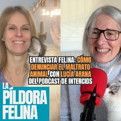 575. Entrevista Felina: CÓMO DENUNCIAR EL MALTRATO ANIMAL con LUCÍA ARANA del podcast de Intercids