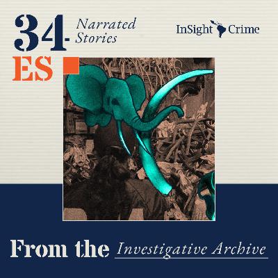 Caza y Safaris: detrás del caso más grande de tráfico de fauna en Argentina Caza y Safaris: detrás del caso más grande de tráfico de fauna en Argentina