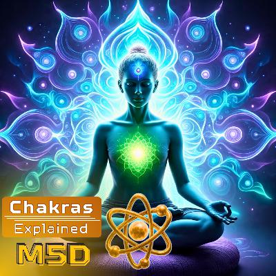Chakras Explained - A Guide to Your Evolution - Eluña