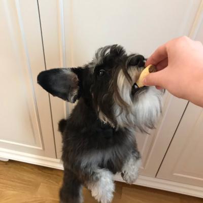 Сион Соно и его «Лес любви»