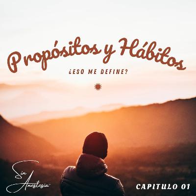 Propósitos y Hábitos...                  ¿Eso me define?
