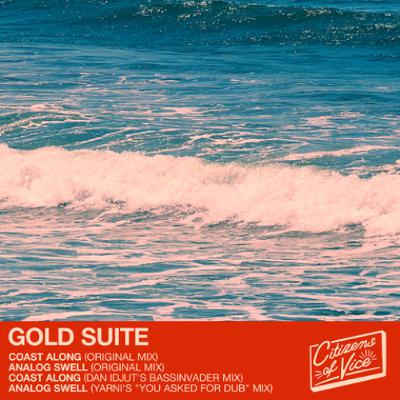 PREMIERE: Gold Suite - Analogue Swell (Yarni's 'you asked for dub mix')  [Citizens Of Vice ]