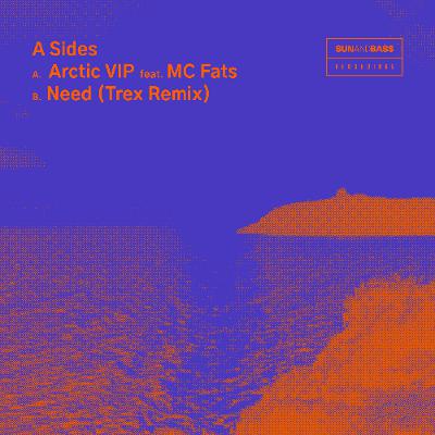 Arctic VIP ft. MC Fats