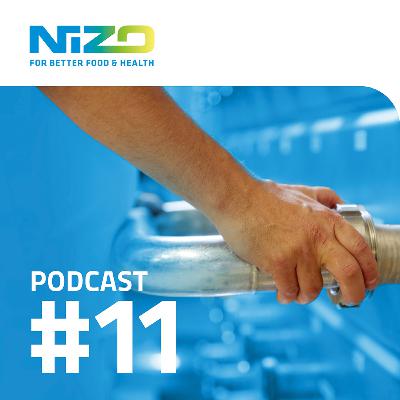 Scaling up plant protein production processes