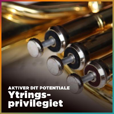 Ytringsprivilegiet