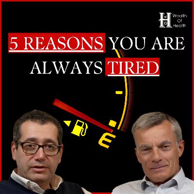 5 Reasons You Are Always Tired