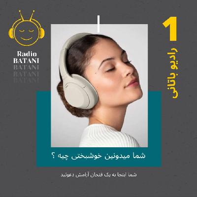 اپیزود 1 - شما میدونین خوشبختی چیه ؟