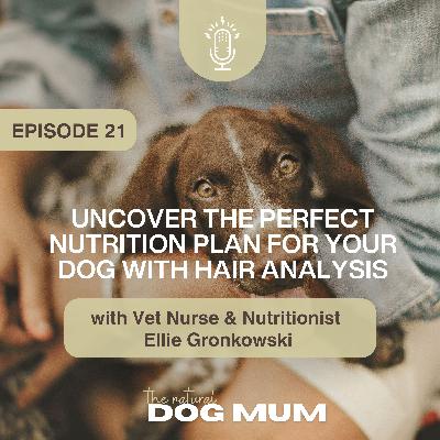 Uncover the Perfect Nutrition Plan for Your Dog with Hair Analysis with Vet Nurse & Canine Nutritionist Ellie Gronkowski