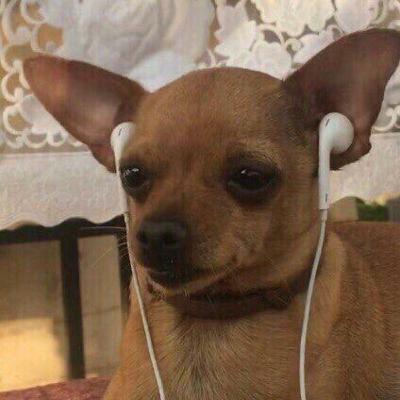 TEORIAS QUE NI NOSOTROS CREEMOS TEORIAS QUE NI NOSOTROS CREEMOS