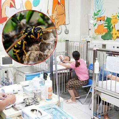 Bé 3 tuổi tử vong, hai trẻ khác nguy kịch vì ong đốt khi lên nương cùng bà