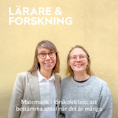 24. Matematik i förskoleklass: att bestämma antal när det är många