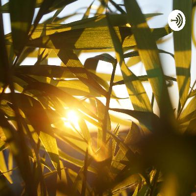 Chat With Me (Trailer) Chat With Me (Trailer)