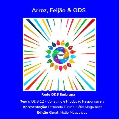 # ODS 12 - Consumo e Produção Responsáveis