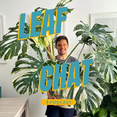 Ep. 27 - Quem é o AgeofPlants? (anthuriums, philodendrons, monsteras)