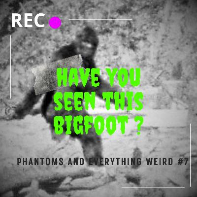 Patterson Gimlin Film (Phantoms and Everything Weird #7)