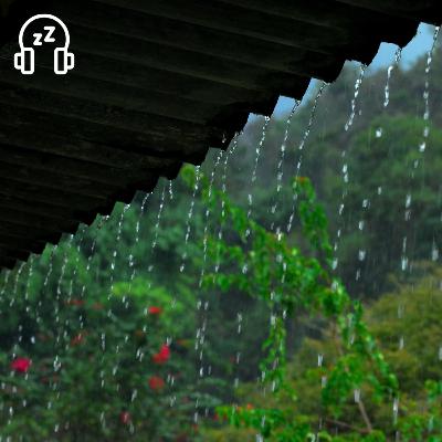 Rain Sounds on a Tin Roof (No Thunder) for Sleeping, Relaxing, Insomnia, Soothing a Baby or Study