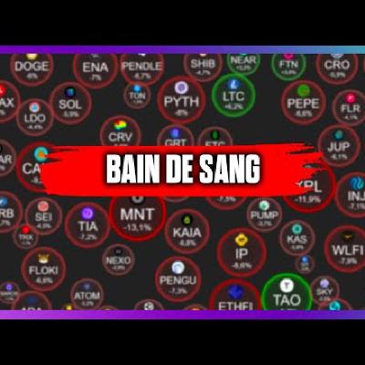 🩸BAIN de SANG sur les CRYPTO : TRUMP fait CHUTER le marché CRYPTO