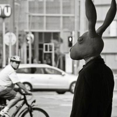 El loco soy yo: romper el ideal de llevarse bien con los vecinos. El loco soy yo: romper el ideal de llevarse bien con los vecinos.