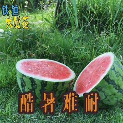 Vol029.日常闲聊∣这么热的天,你怎么过 Vol029.日常闲聊∣这么热的天,你怎么过