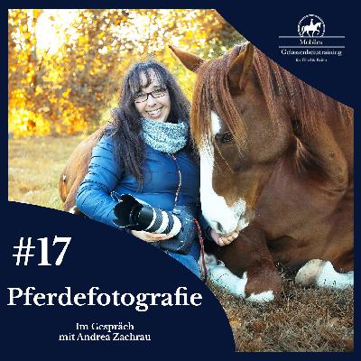 #17 Pferdefotografie - Künstlerisch achtsam mit Fotografin Andrea Zachrau