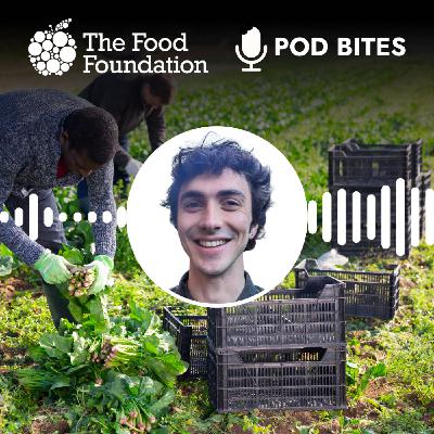 Pod Bites: Making food work for everyone