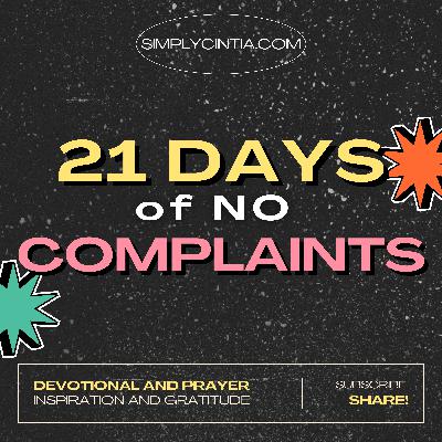 Day 8