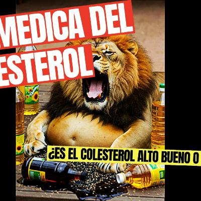NO HAY COLESTEROL MALO